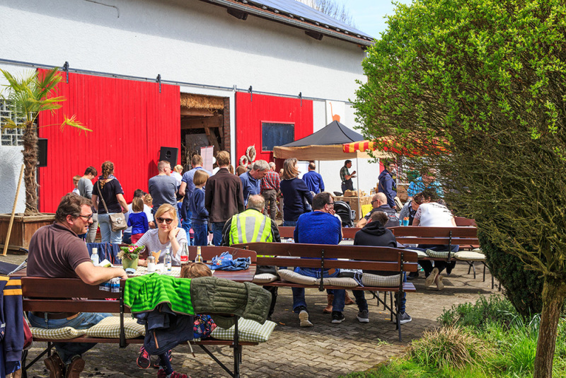 sabel-straussenfarm-img_099